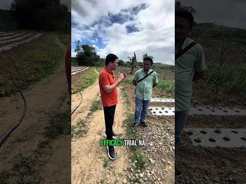 AgriGoPro testimonial — Gumagana Kahit sa Pinakamasamang Lupa