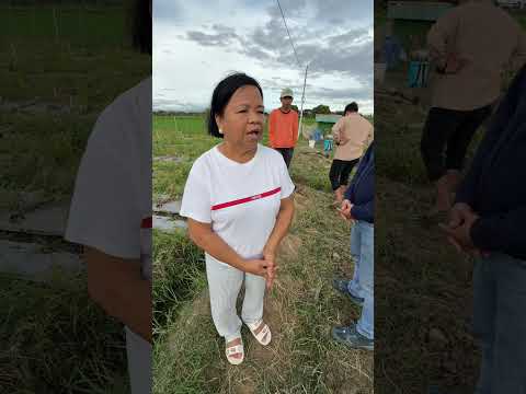 AgriGoPro farmer story: UltraBoost field result on watermelon