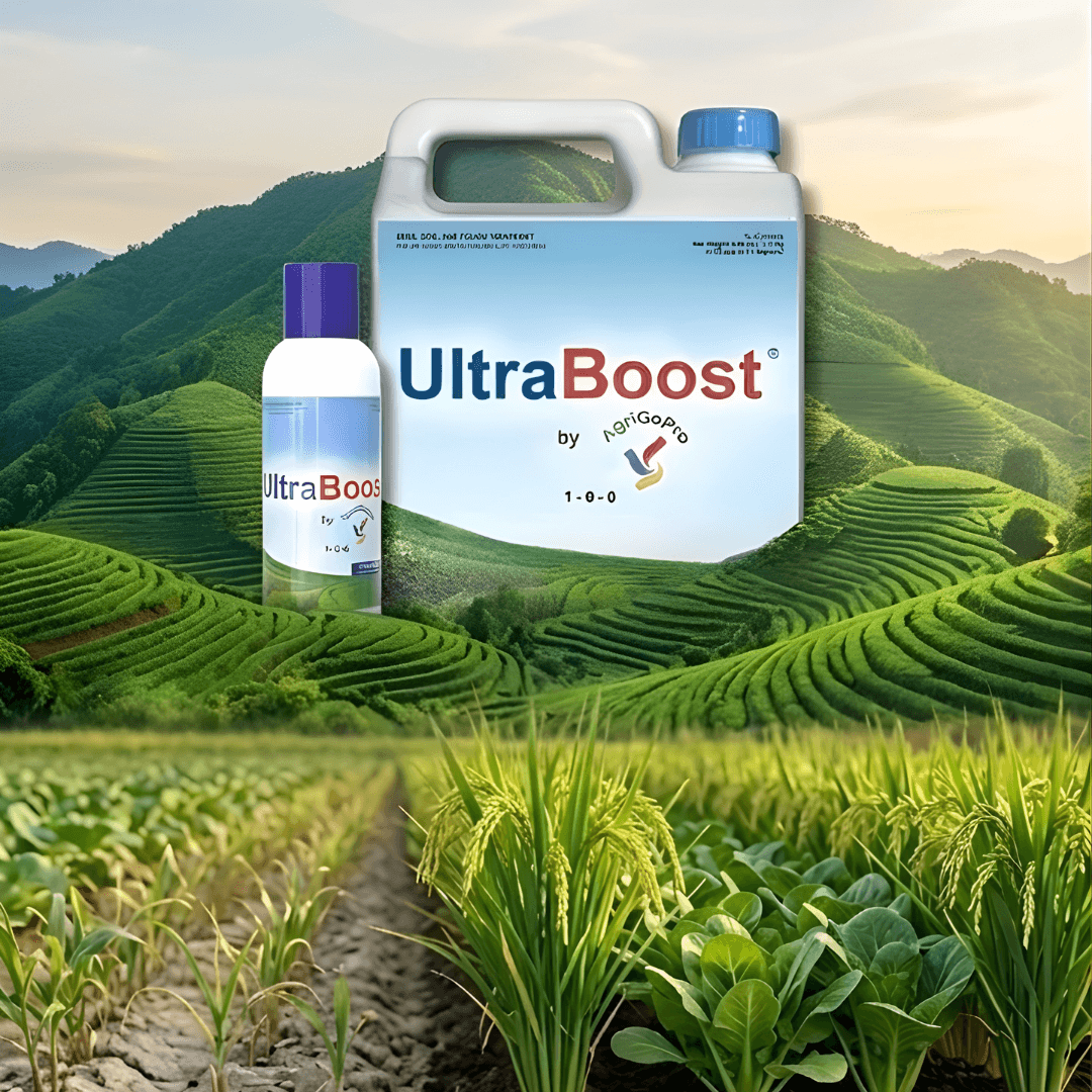 UltraBoost beside healthy crops