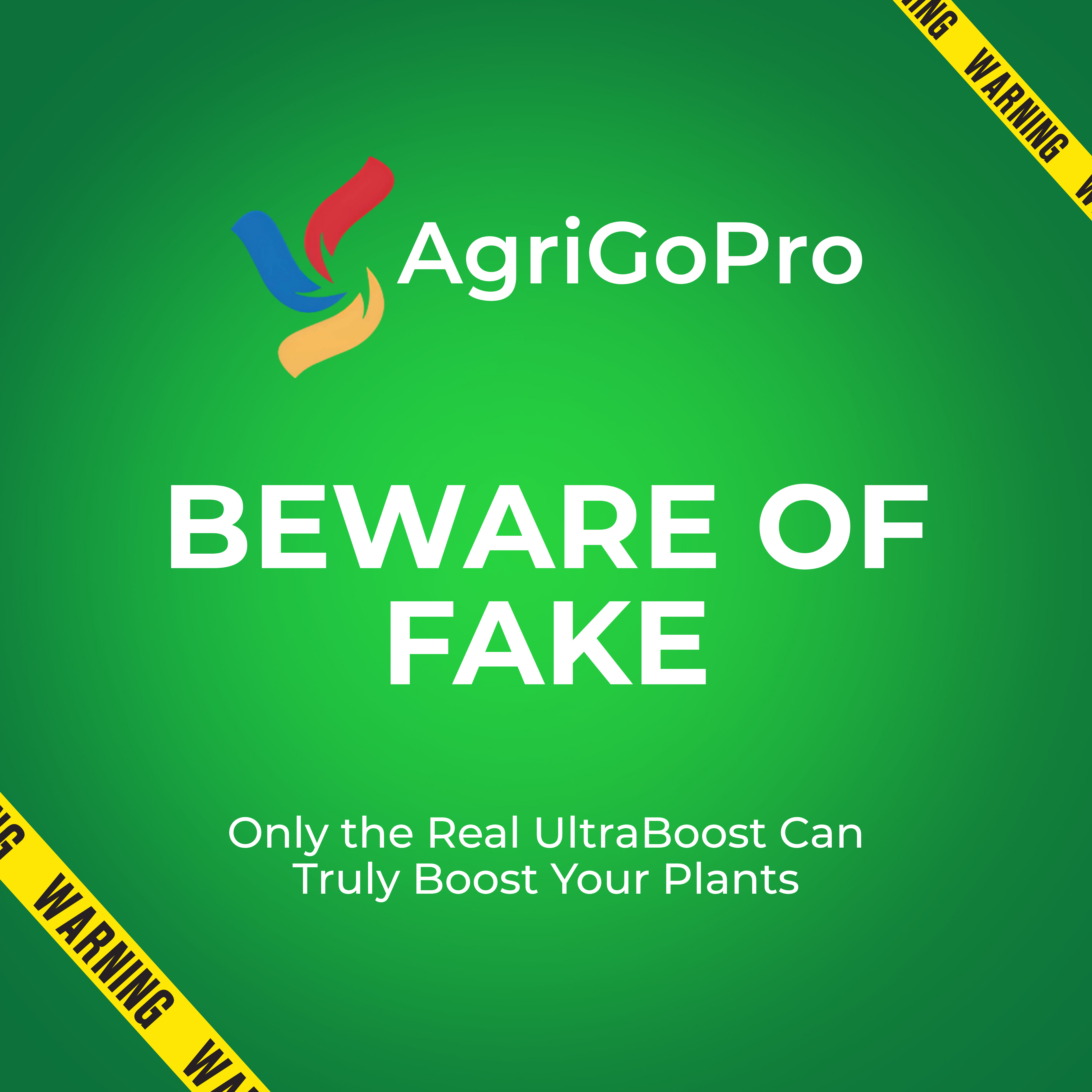 Official Online Store